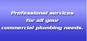 Professional services for all your commercial plumbing needs.